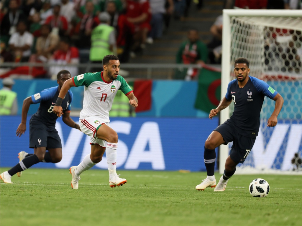 吸引了大量 吸引了大量