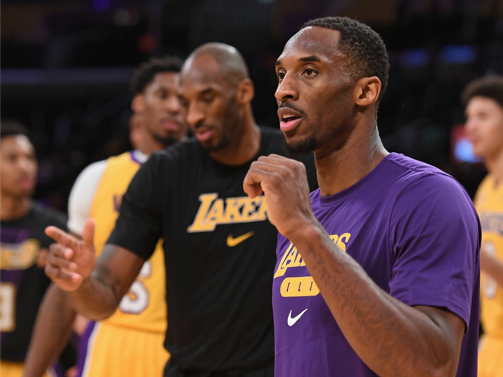 网成为了一 网成为了一